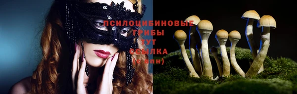 кокс Алзамай